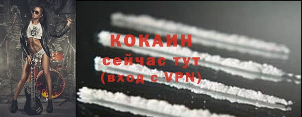прущие крисы Заводоуковск