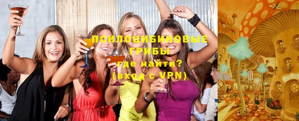 МДПВ Абаза