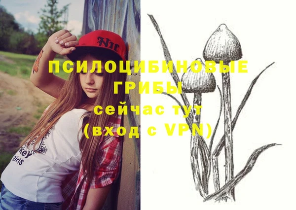 прущая мука Абдулино