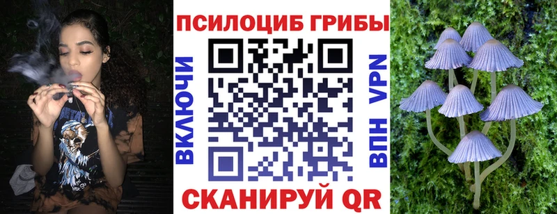 Псилоцибиновые грибы прущие грибы Калач